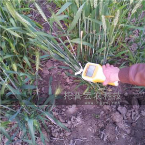 便携式作物茎秆强度测定仪