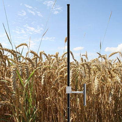 小麦株高测量