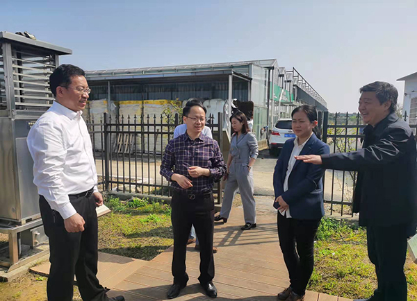 杨华副院长一行参观银河yh988农业生产示范基地​